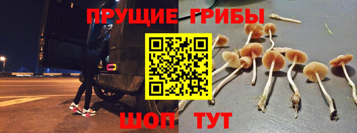 Галлюциногенные грибы Magic Shrooms  Псилоцибиновые грибы GOLDEN TEACHER  как найти   Алушта  Вход с VPN 